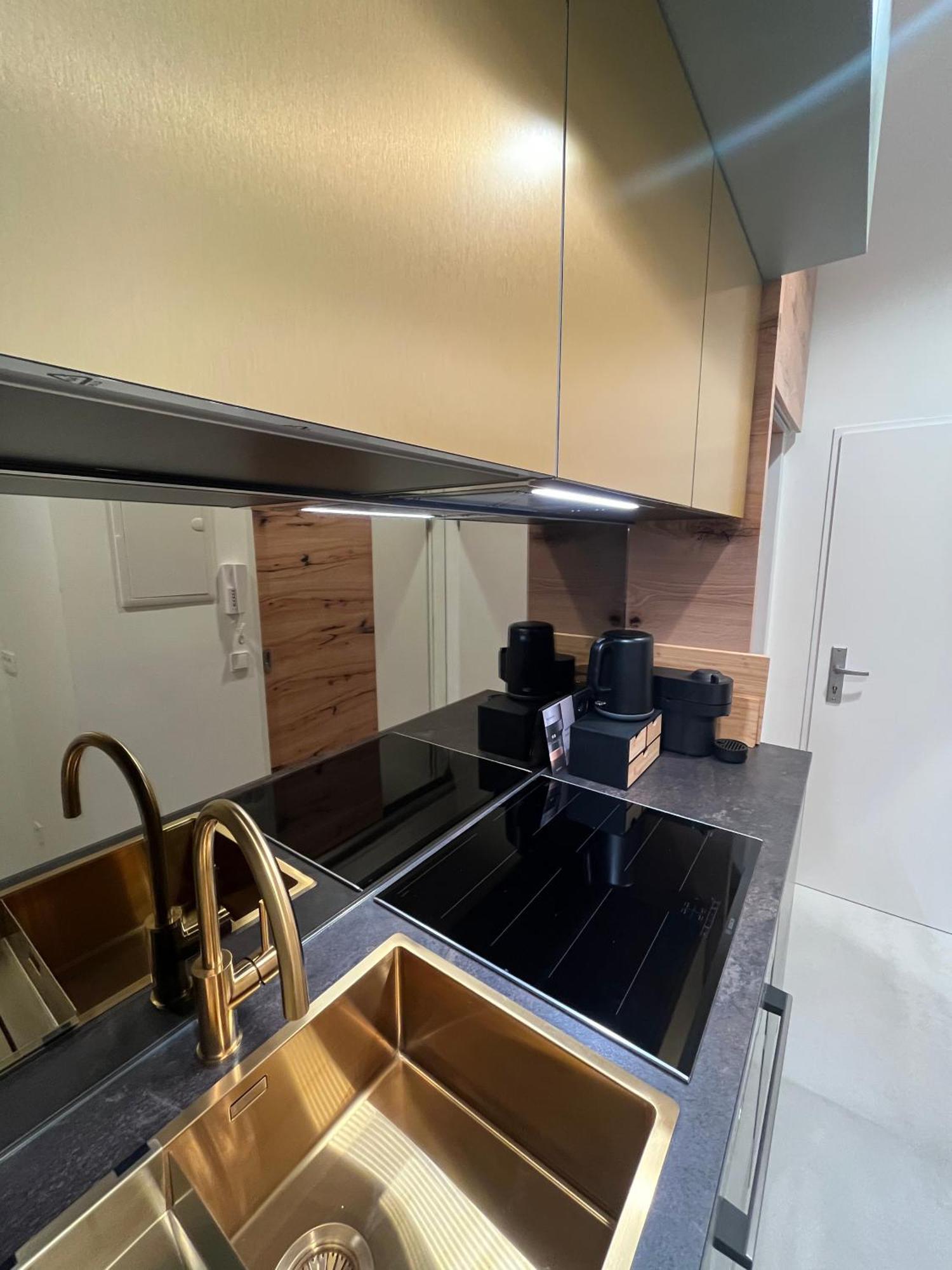 Luxurious One Room Apartment Near Schoenbrunn Palace Βιέννη Εξωτερικό φωτογραφία