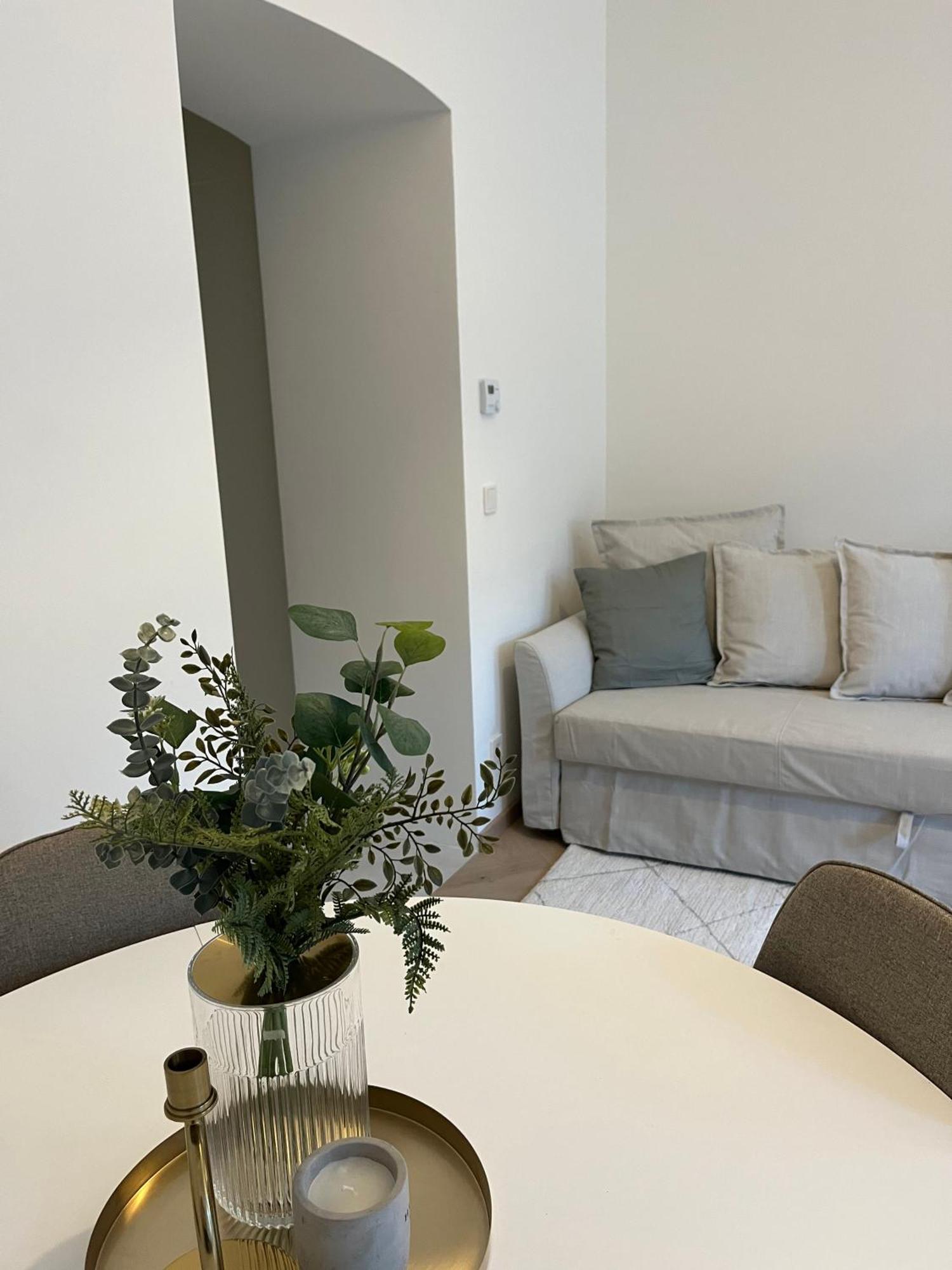 Luxurious One Room Apartment Near Schoenbrunn Palace Βιέννη Εξωτερικό φωτογραφία